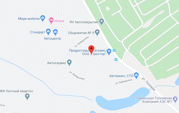 ул. Бабарынка, д. 20, корп. А, пансионат ул. Бабарынка, д. 20, корп. А, пансионат