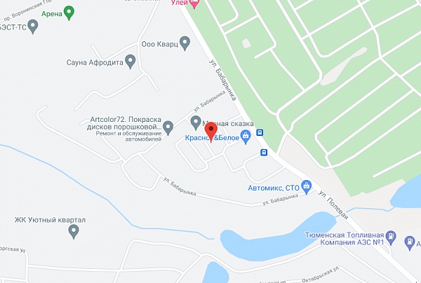 ул. Бабарынка, д. 20, корп. А, пансионат ул. Бабарынка, д. 20, корп. А, пансионат